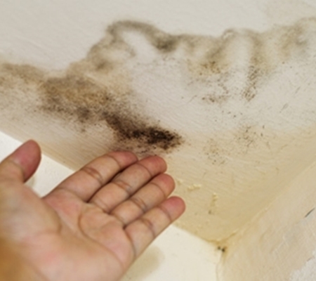 다르다누수탐지 다르다방수공사 PC 이미지 1122060